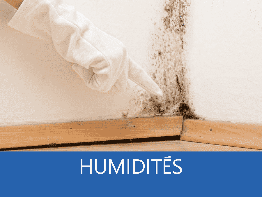 expertise humidité 12, expert humidité Rodez, cause moisissure Aveyron, solutions humidité Millau,